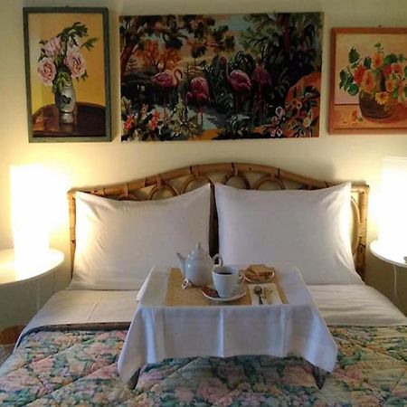 Fabiola B & B Marino Bagian luar foto