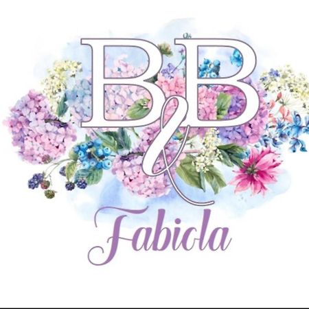 Fabiola B & B Marino Bagian luar foto