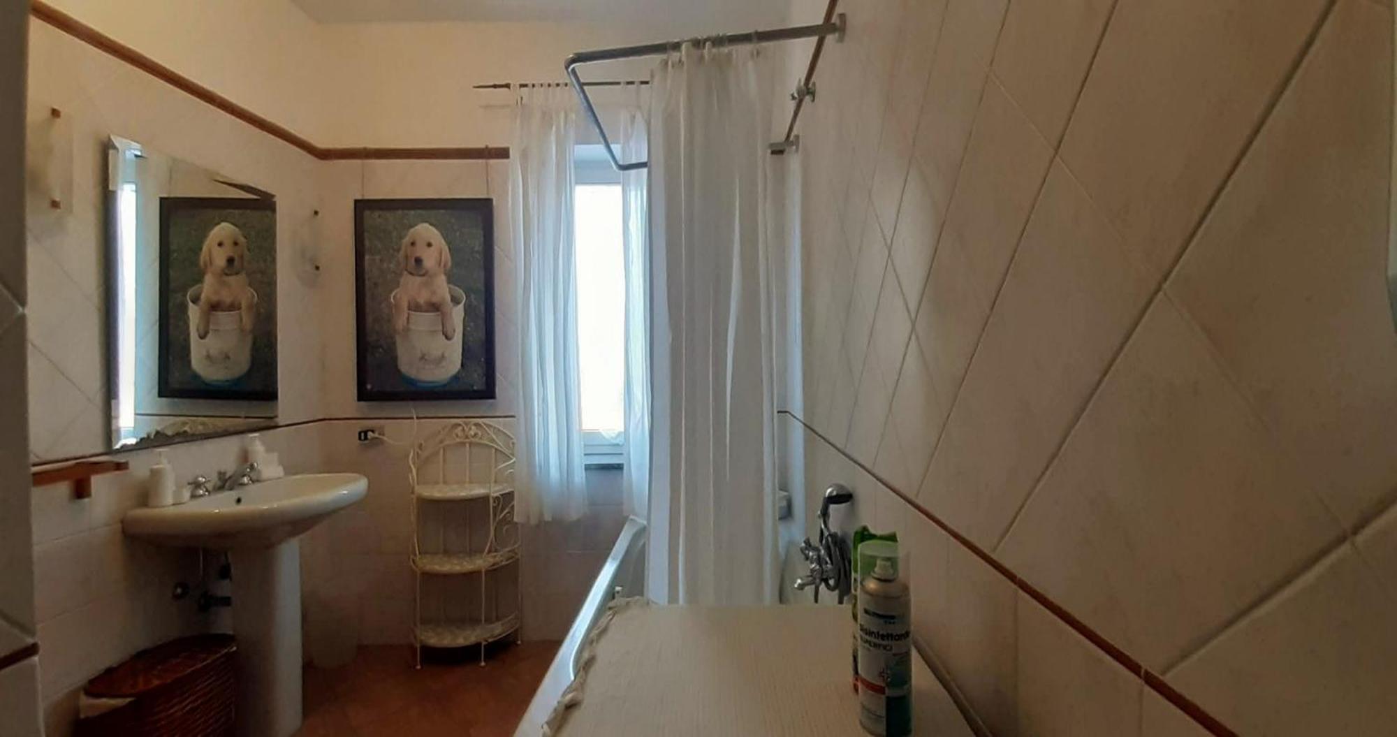 Fabiola B & B Marino Bagian luar foto