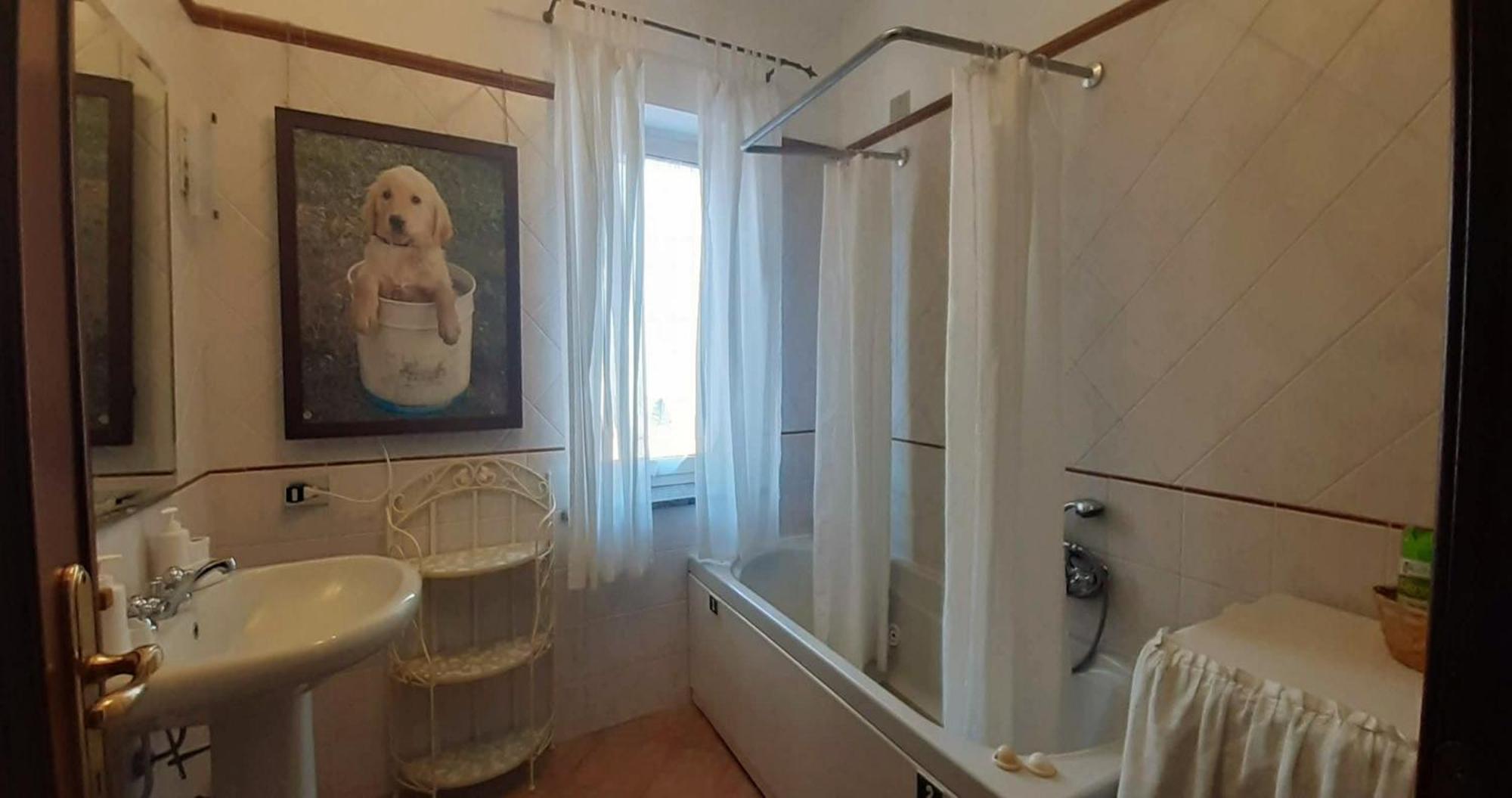 Fabiola B & B Marino Bagian luar foto
